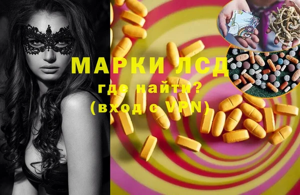 стафф Баксан