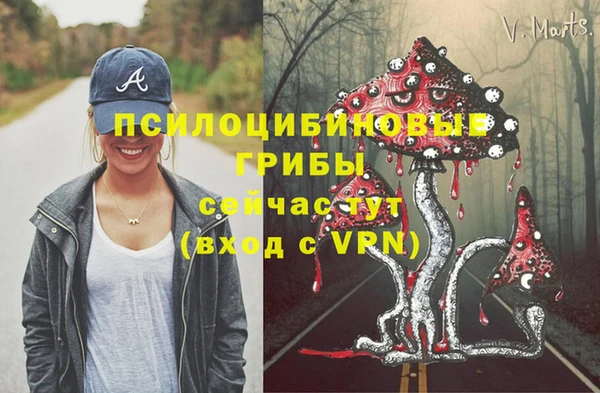стафф Баксан